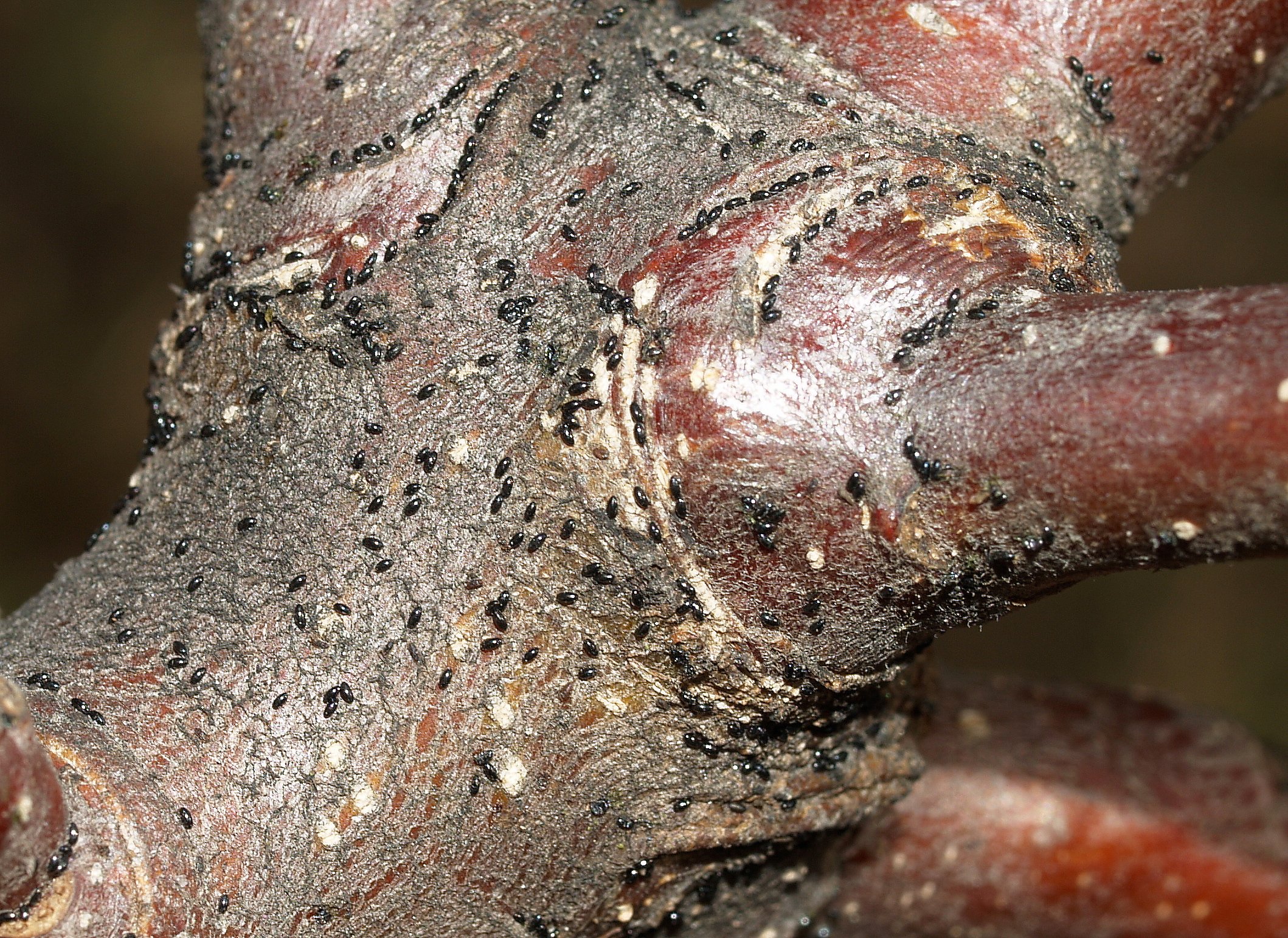 První novinka 2023 od NATURY vyletěla do světa