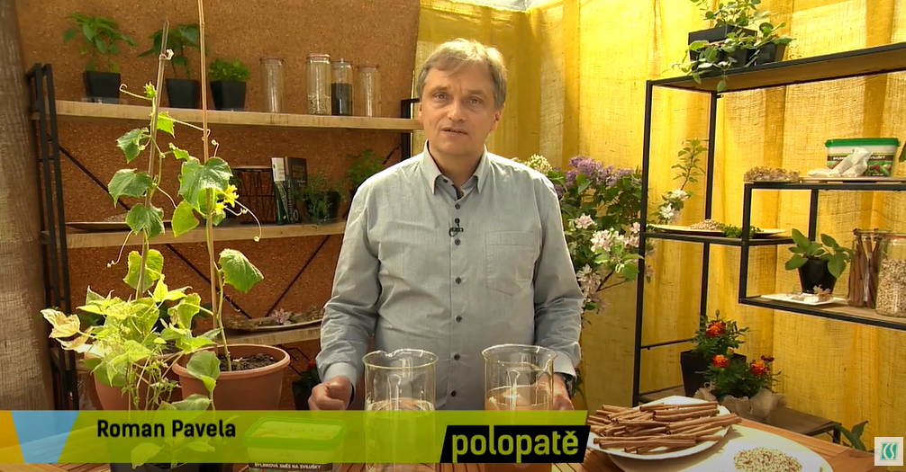 Roman-Pavela-bylinkova-smes-na-svilusky Roman-Pavela-bylinkova-smes-na-svilusky